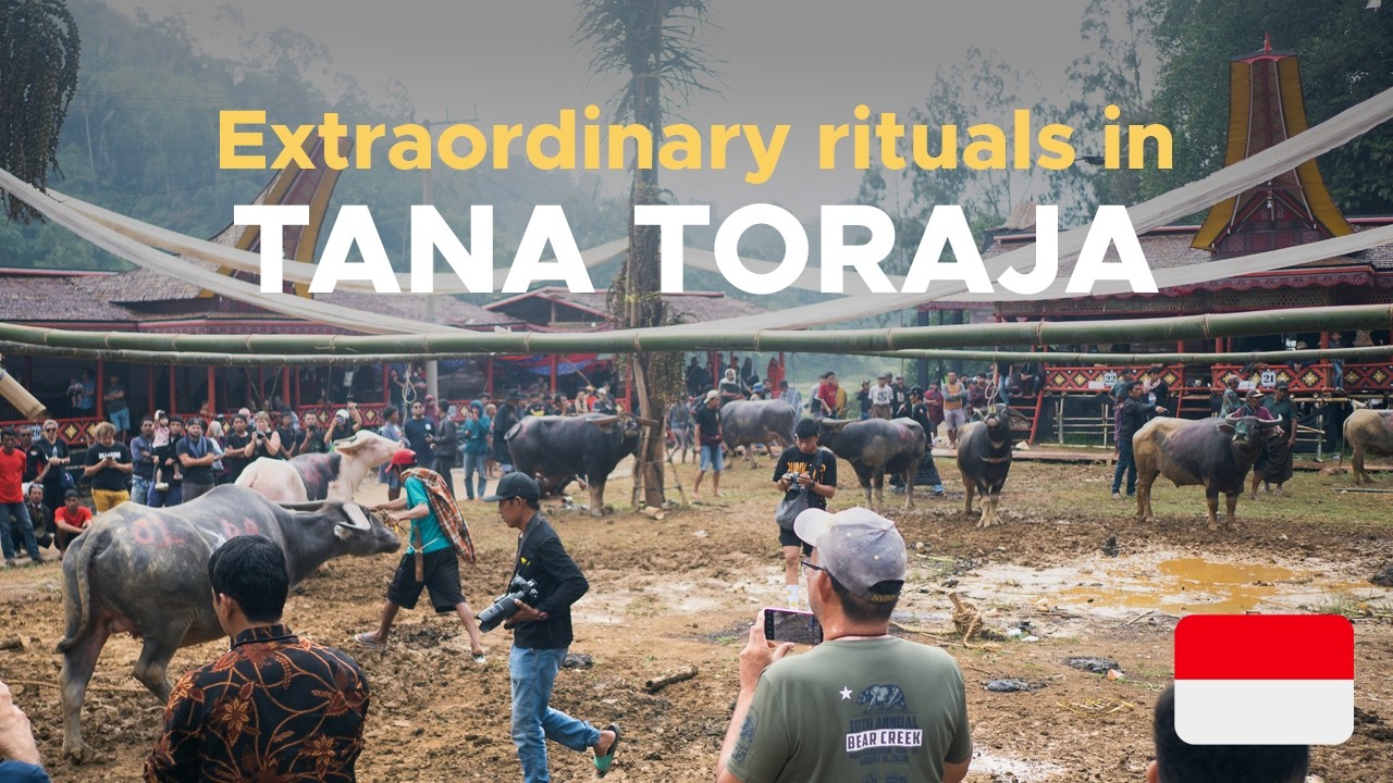 Where death is a celebration: the unique Toraja culture in Indonesia