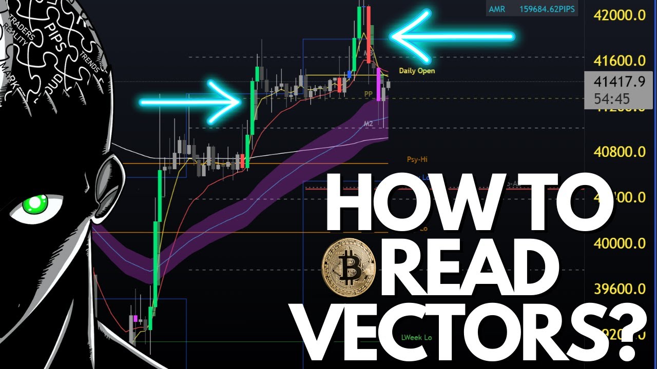 BITCOIN: How To Read Vectors?