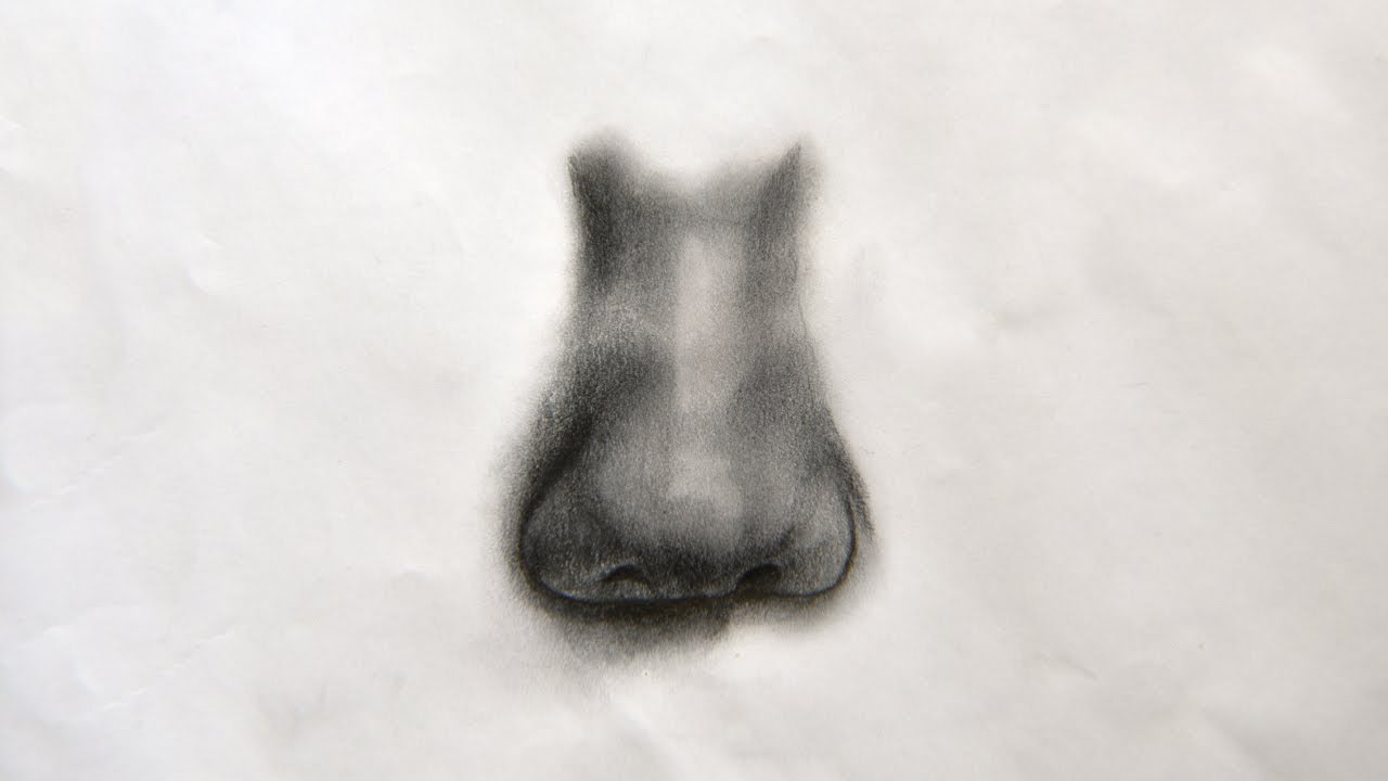 CÓMO DIBUJAR LA NARIZ/ El mejor método