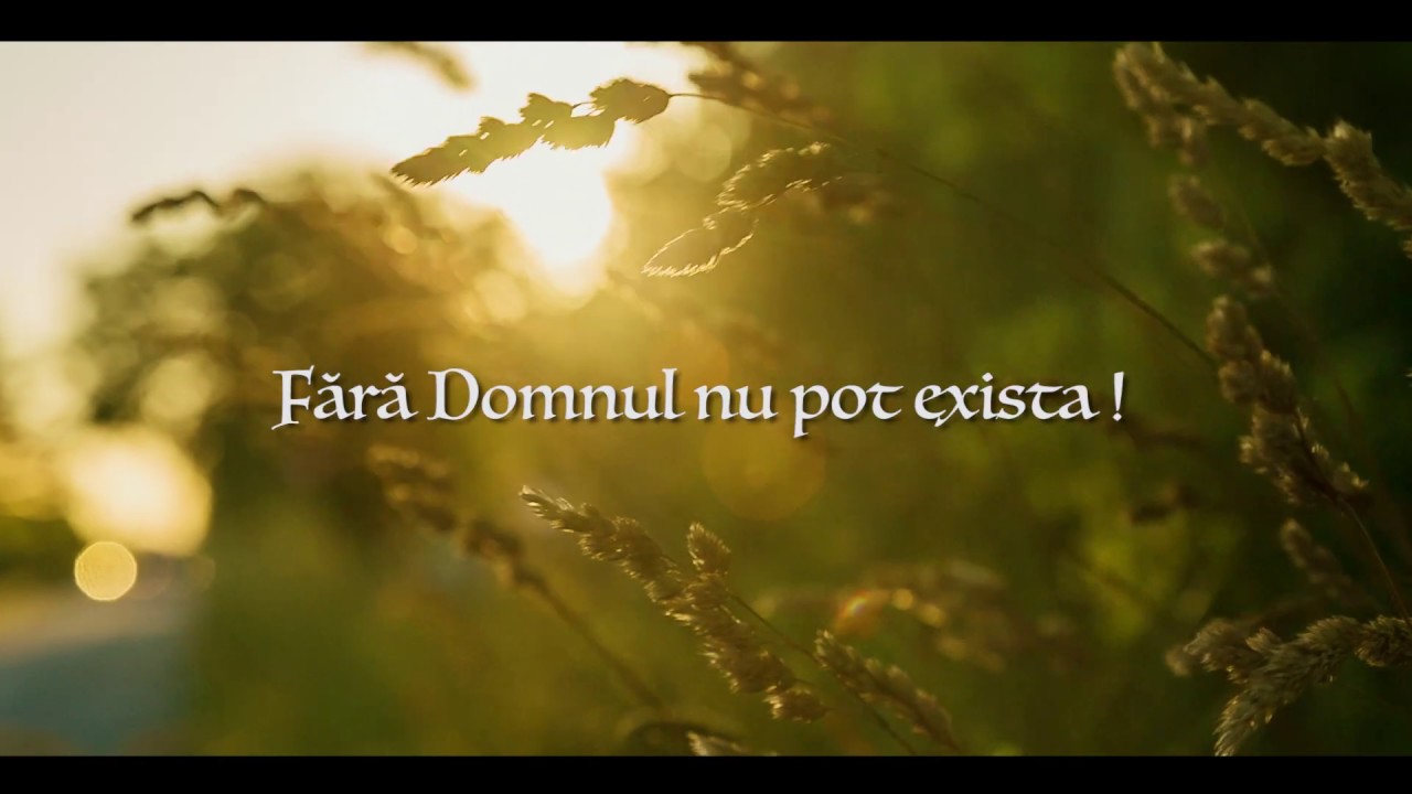 Ce este omul - Ligia Bodea