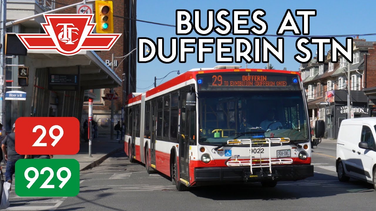 TTC Buses at Dufferin Station