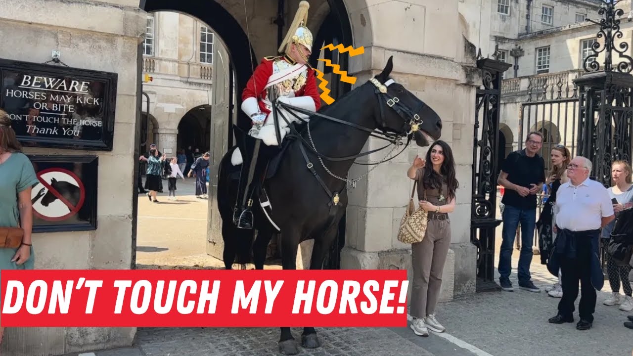 “GET BACK!” Horse Guard SNAPS as Tourist Tries to Touch His Horse!