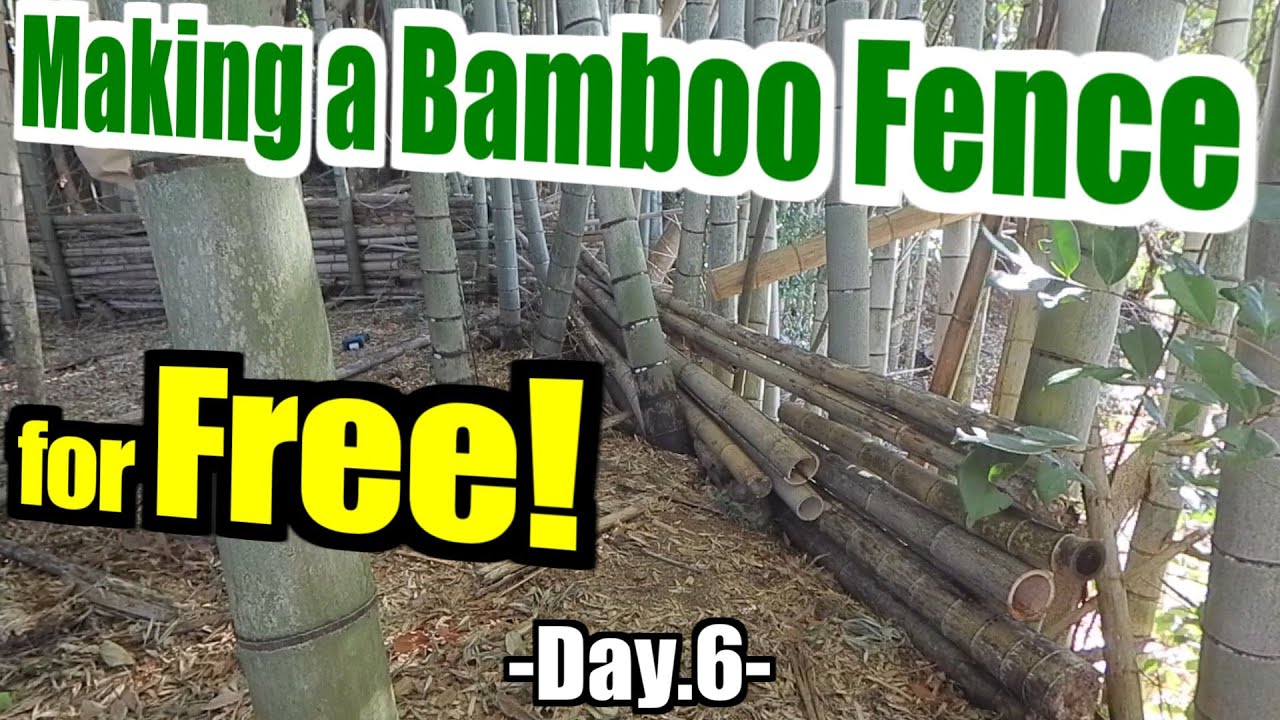 Making a Bamboo Fence for Free -Day.6-