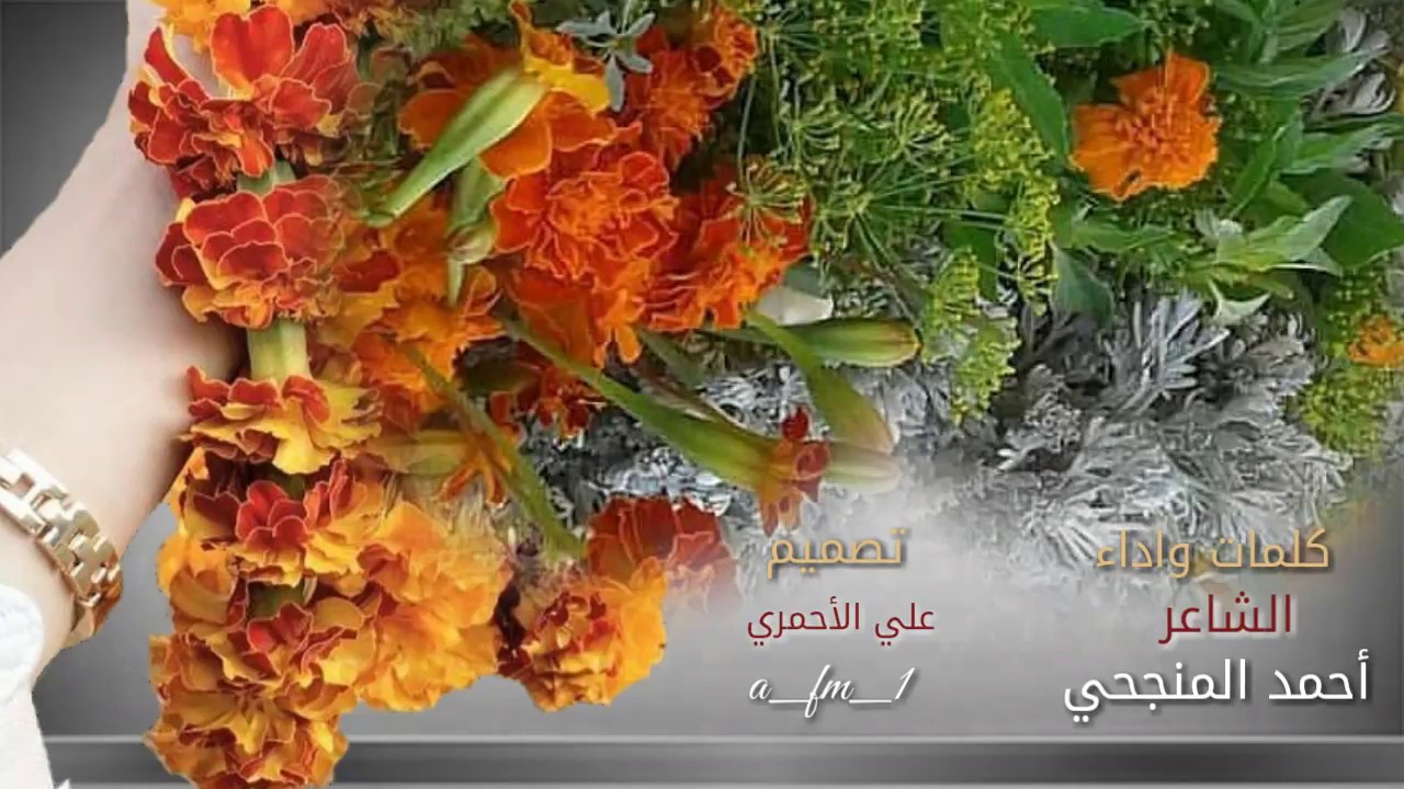 يشوقني| البرك| و|الكادي |خطوة||أحمد المنجحي|