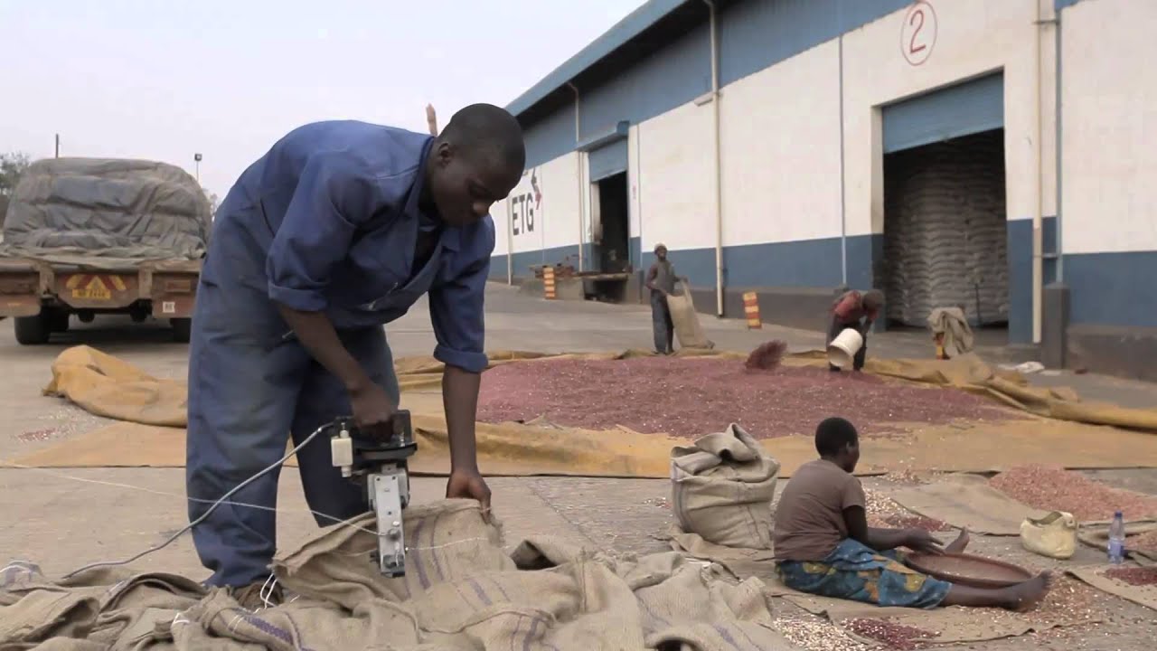 Export Trading Group (ETG) - Corporate Engagement of African Smallholder Farmers