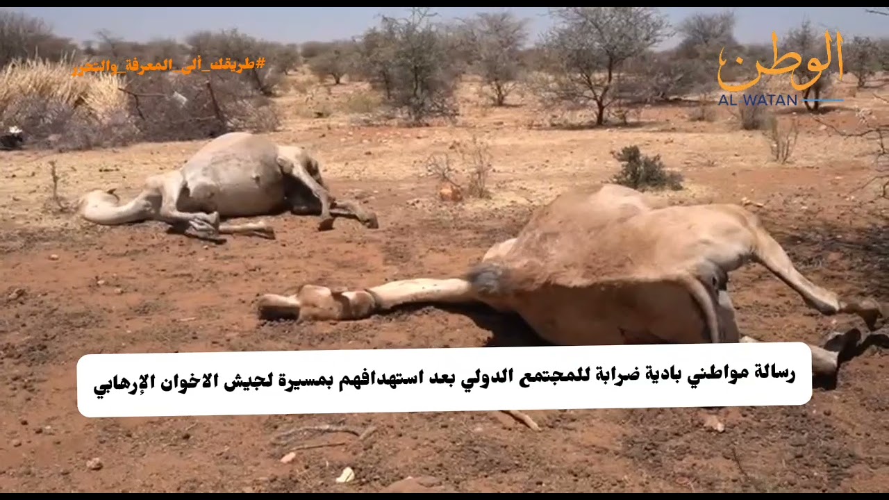 رسالة مواطني بادية ضرابة للمجتمع الدولي بعد استهدافهم بمسيرة لجيش الاخوان الإرهابي