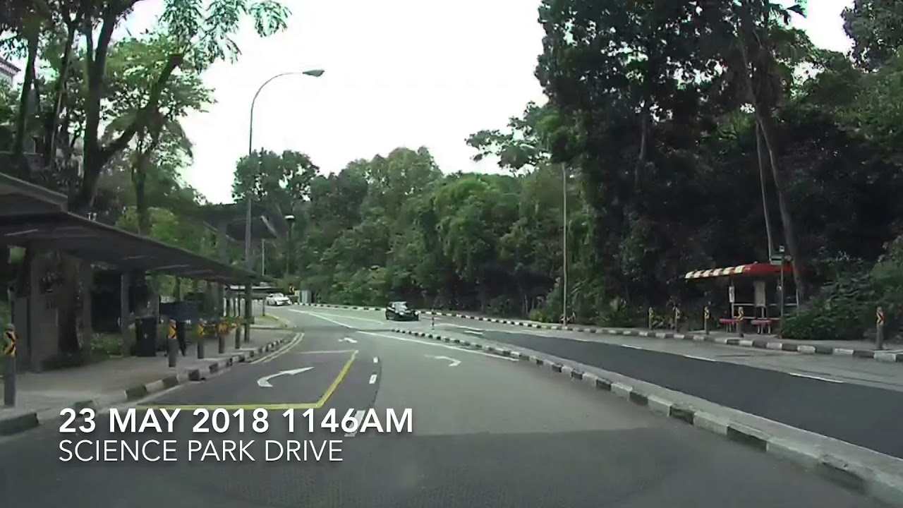 DLVR Race Driver Wannabe