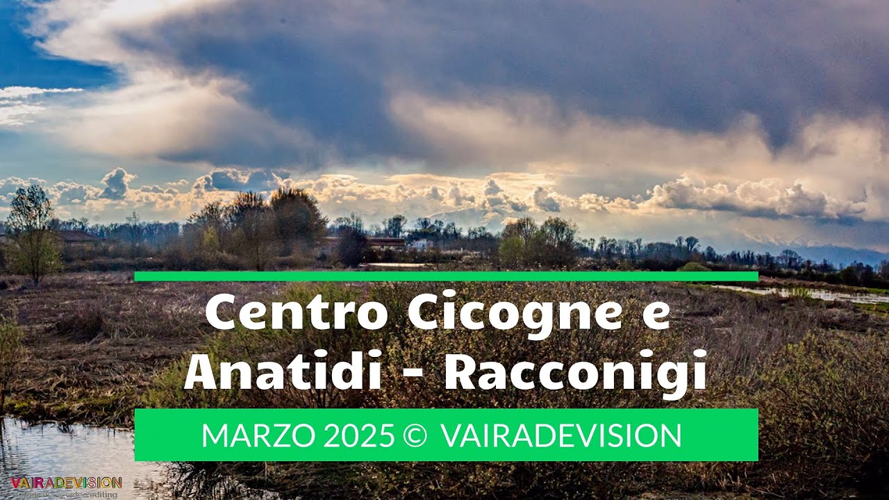 Centro Cicogne e Anatidi   Racconigi 2025