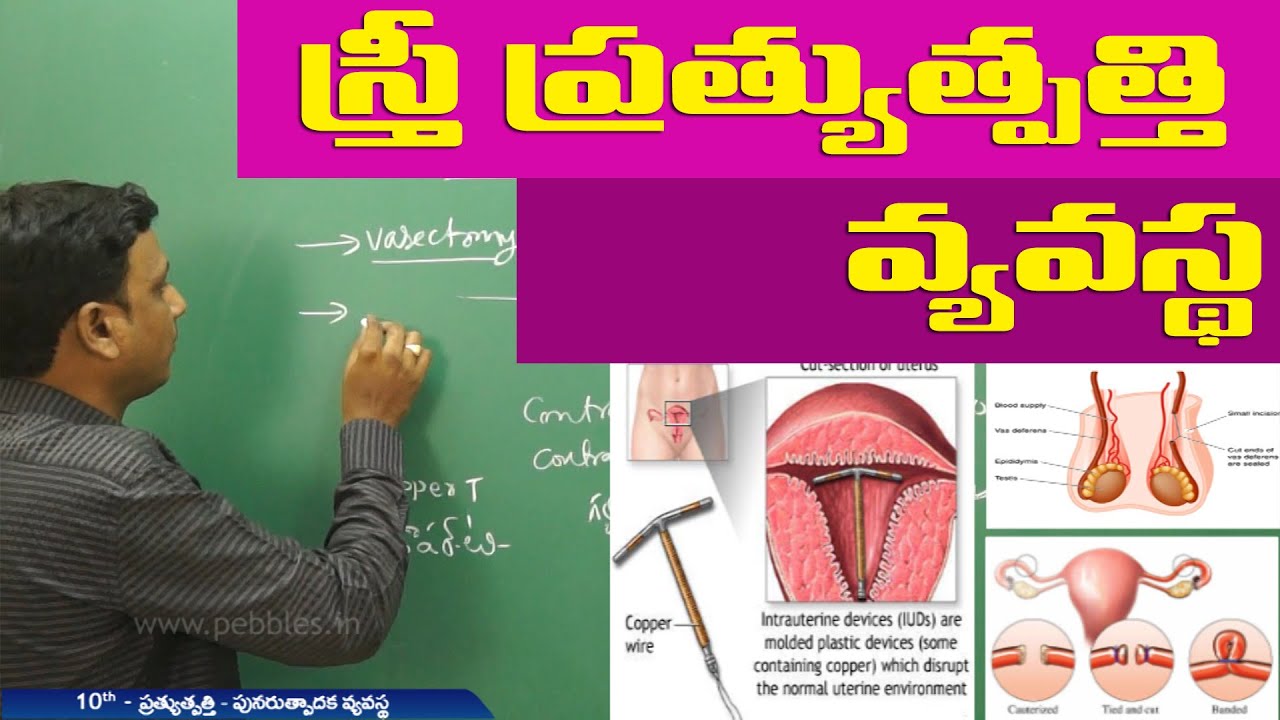 Female reproductive system |స్త్రీ ప్రత్యుత్పత్తి వ్యవస్థ  |Class 10 biology| Telugu medium