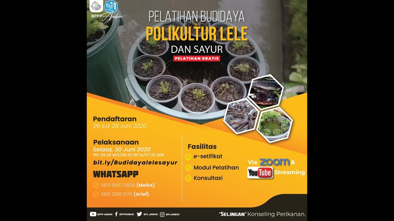 Pelatihan Daring Terbuka 