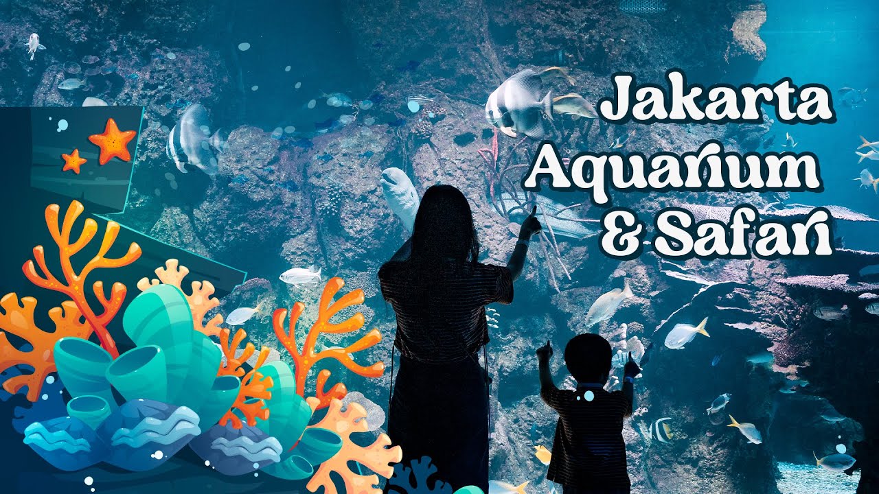 Adventure in Jakarta Aquarium & Safari | Marine Life Relaxing Cinematic Video