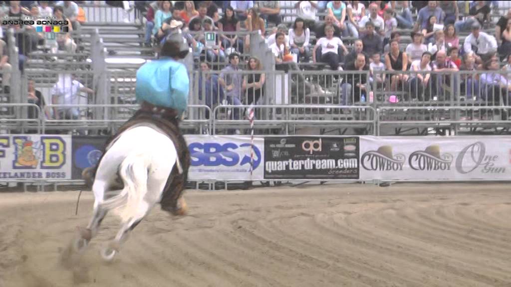 GIOVANNI MASI DE VARGAS VQH FOXY CAT nrha derby
