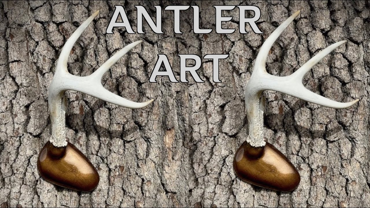 FUN DIY ANTLER PROJECT