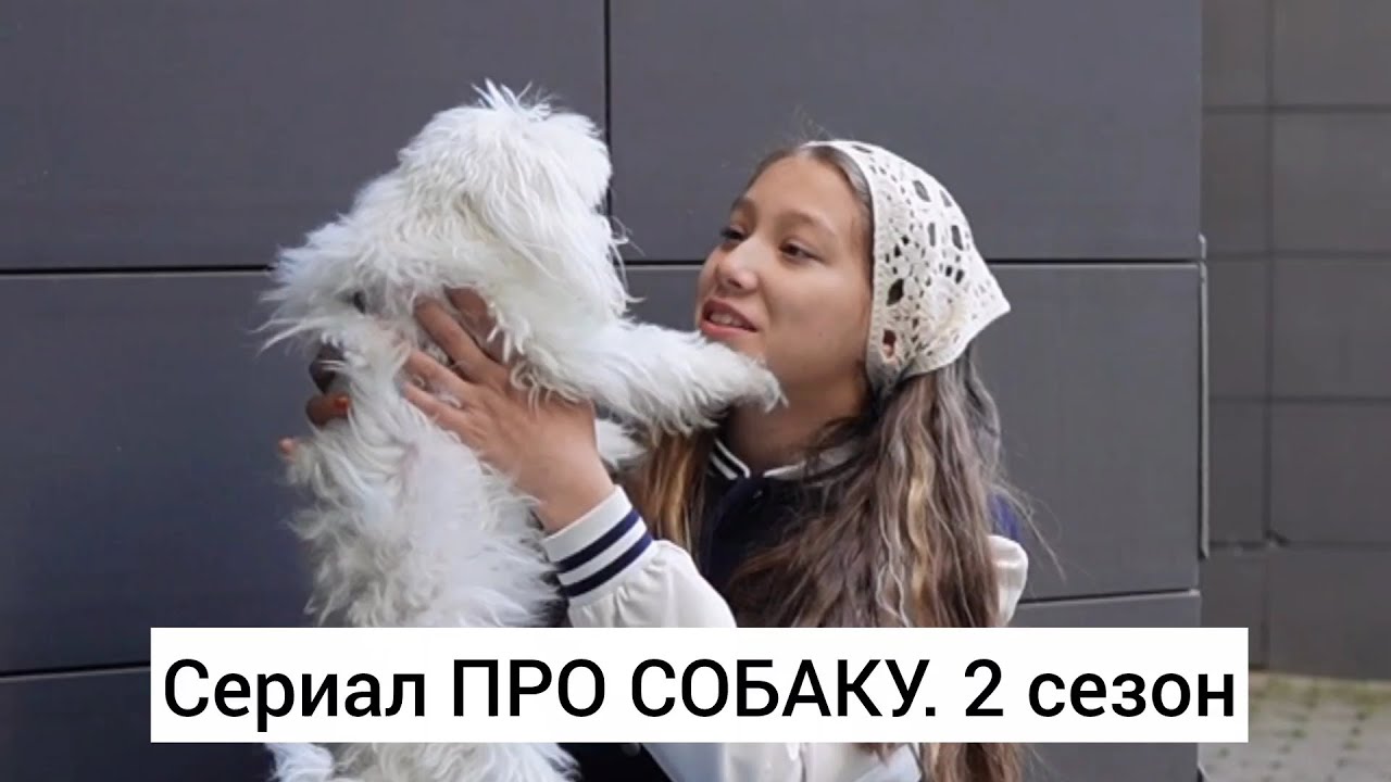 Сериал Про собаку. 2 сезон. 1-9 серии #викачжан ##vikazang #сериал