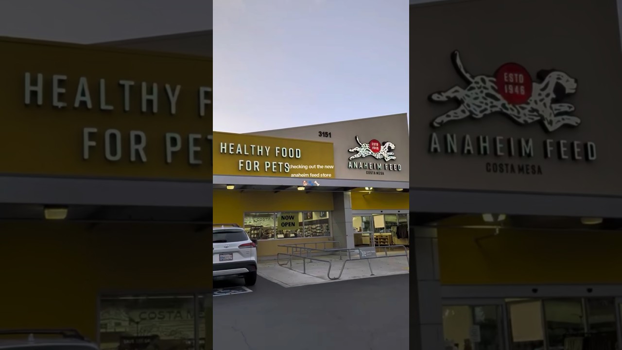 NEW PET STORE!! 🐾🦴 - Watch the vlog! #petstore #petfeed #orangecounty