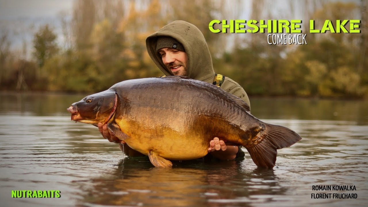 ~ Cheshire Lake - Come Back ~ Nutrabaits 🇫🇷