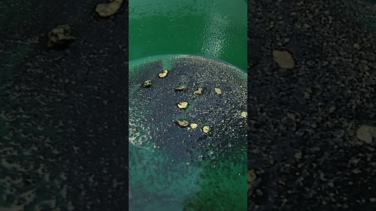 Big Gold Strike in the California Motherlode #goldprospecting #outdooradventures #goldfever