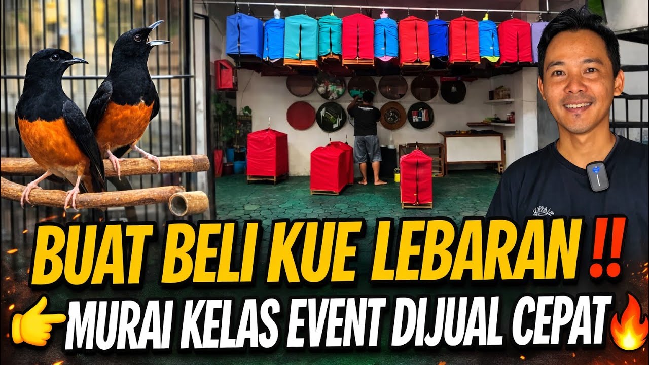 BUAT BELI KUE LEBARAN‼️ MURAI SIAP MAIN KELAS EVENT DIJUAL CEPAT 🔥 | M2 GALERI 101