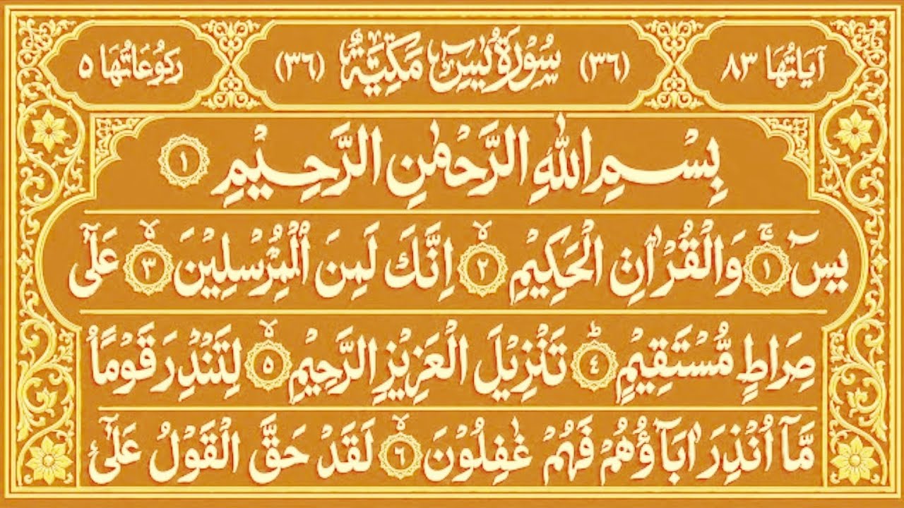 Surah Yaseen Surah Ar Rahman | Best Quran Recitation | Powerful Quran Tilawat | By imam Ahmed 