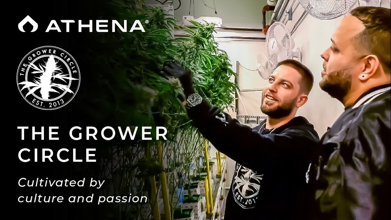 Athena x The Grower Circle