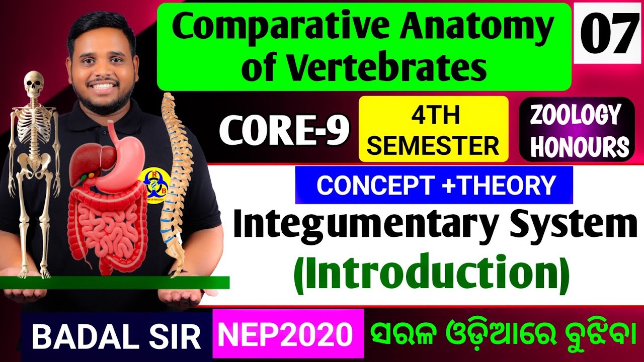 Introduction | Integumentary system |Zoology honours 4th semester|Core9 zoology honours 4th Sem 