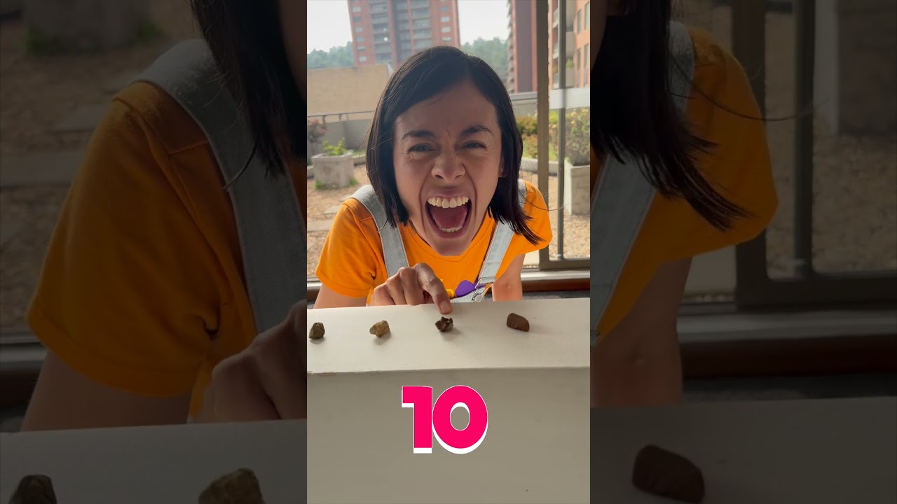 Christina cuenta piedras 🪨🪨 #matem&aacute;tica #kindergarten #preschool #preescolar #musicainfantil #learn