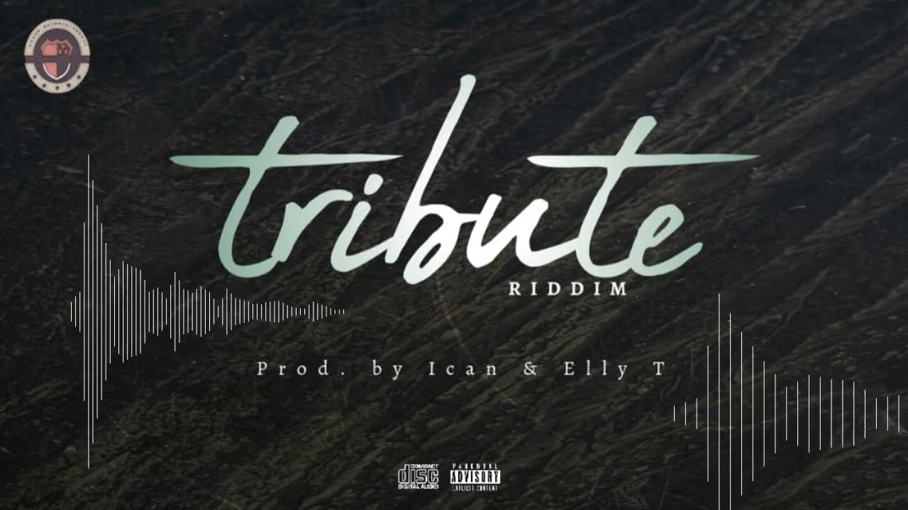 (free zimdancehall riddim instrumental ) Tribute riddim  2025