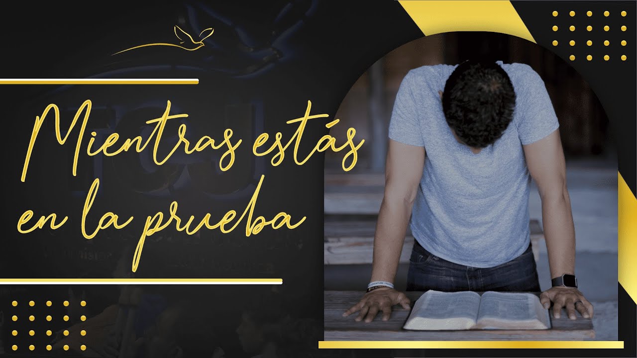 Mientras est&aacute;s en la prueba | Tiempos Con Jes&uacute;s