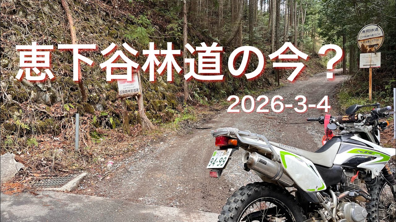 恵下谷の今？　2026-3-4