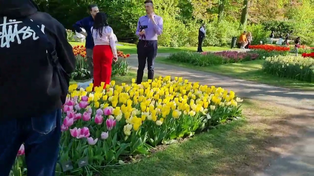 #niederlande # Tulpenpark