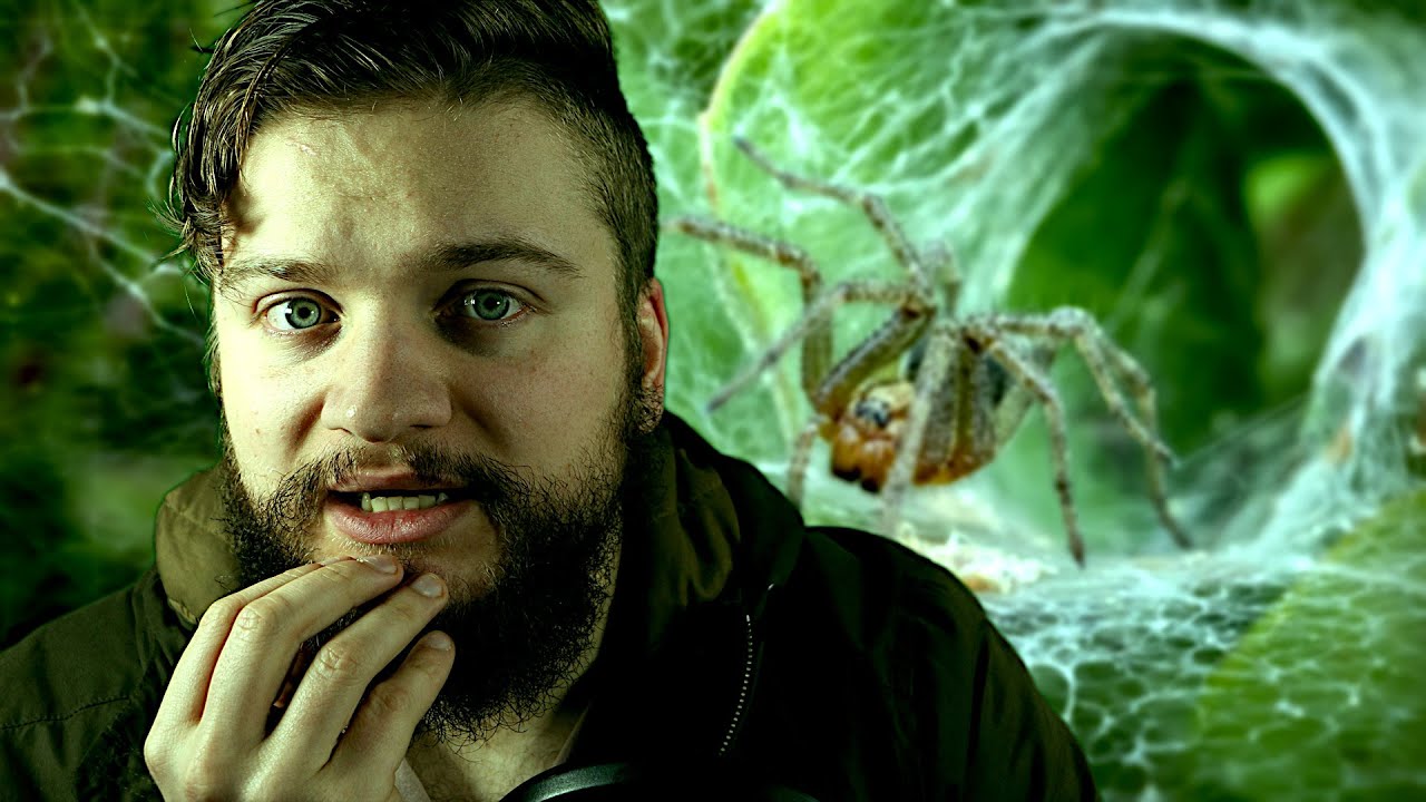 Whispering about the Sydney Funnel-web Spider! (Educational ASMR)