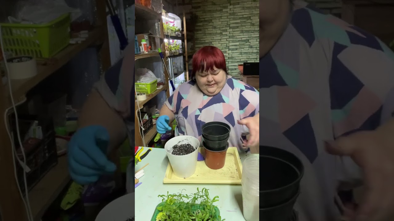 Начало сезона 2025