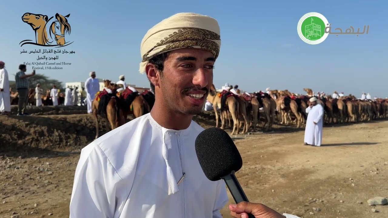 مهرجان فلج القبائل الخامس عشر للهجن والخيل #explore #اكسبلور #صحار