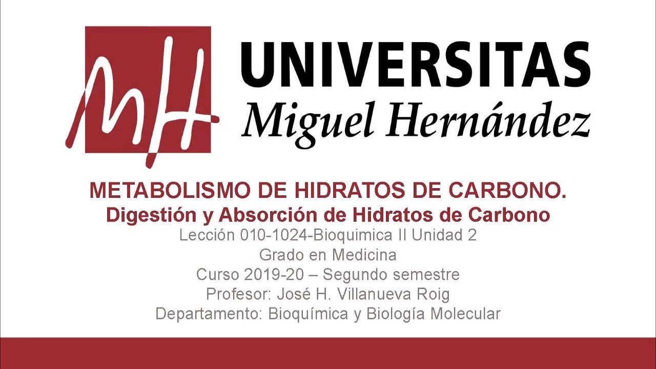 Lecc 010 Digesti&oacute;n y Absorci&oacute;n de HdC (Umh1024 2019-20)