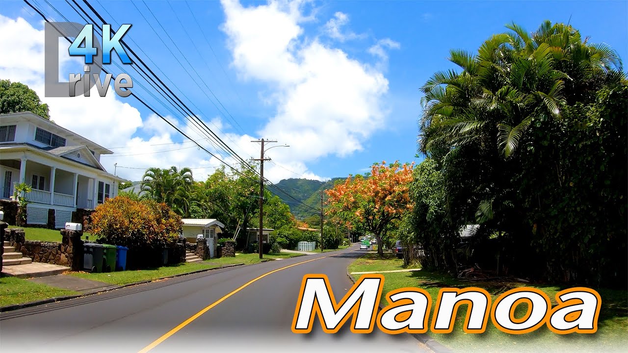 MANOA NEIGHBORHOOD | Drive Around Manoa 🌴 Honolulu, Oahu, Hawaii 4K Driving