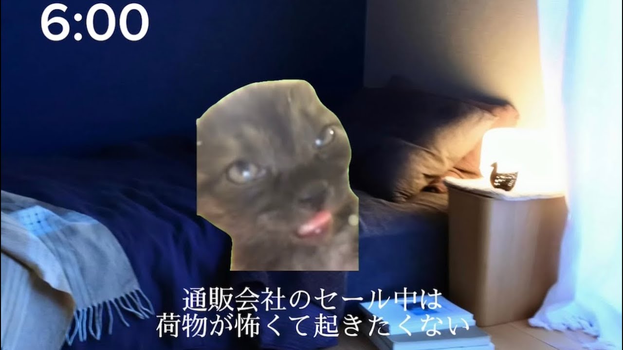 配送員、配達員の日常　（#猫ミーム#猫meme）