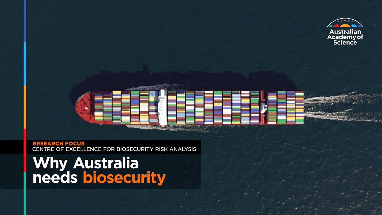 Why biosecurity matters so much to Australia