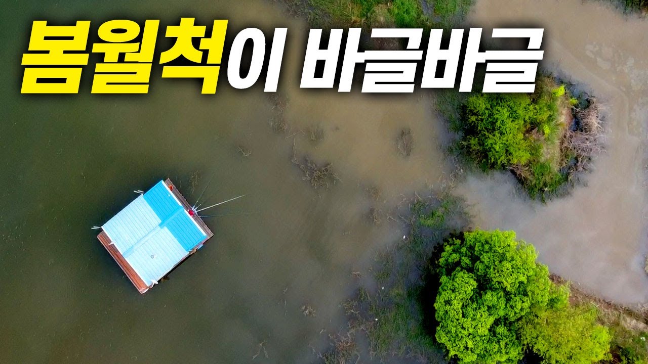 초평저수지가 핫포인트라구요? 확인하러 갑니다. 옥수수미끼
