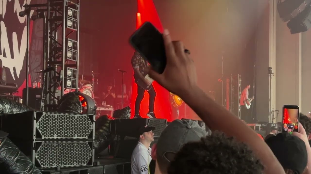 Simple plan -perfect 