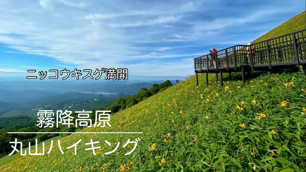 【ニッコウキスゲ】4K 霧降高原　キスゲ平〜丸山ハイキング　#ニッコウキスゲ  ＃霧降高原　＃日光