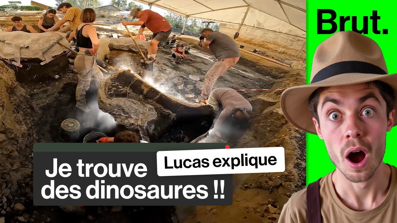 En immersion à la recherche des dinosaures
