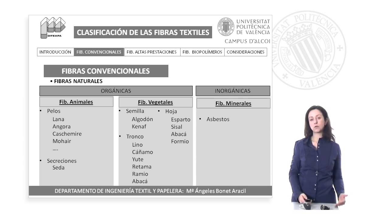 Clasificaci&oacute;n de las fibras textiles | 7/28 | UPV