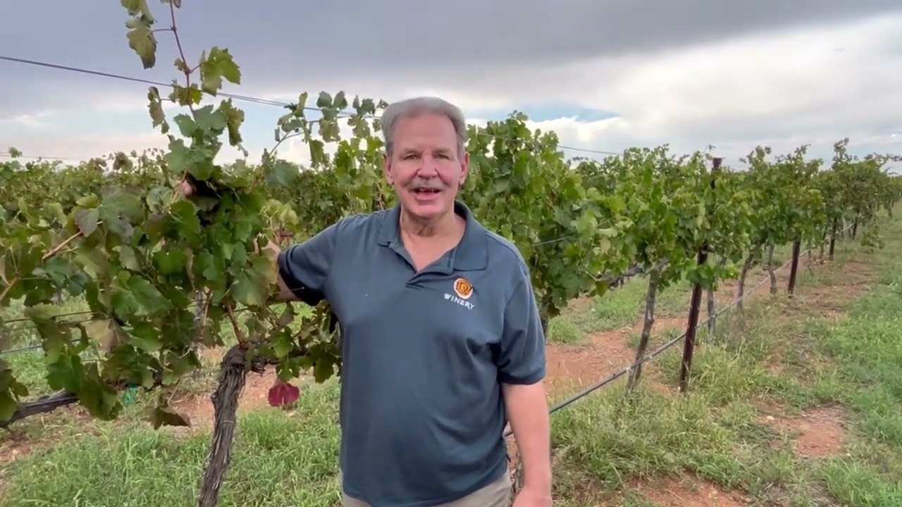 Harvest 2025 Recap