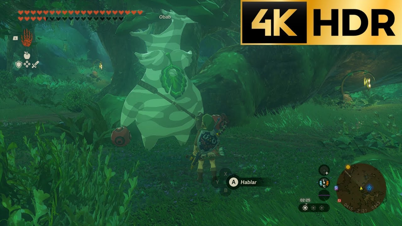 The Legend of Zelda: Tears of the Kingdom | 1000 Semillas Korok. &iexcl;El premio al esfuerzo! | 4K HDR