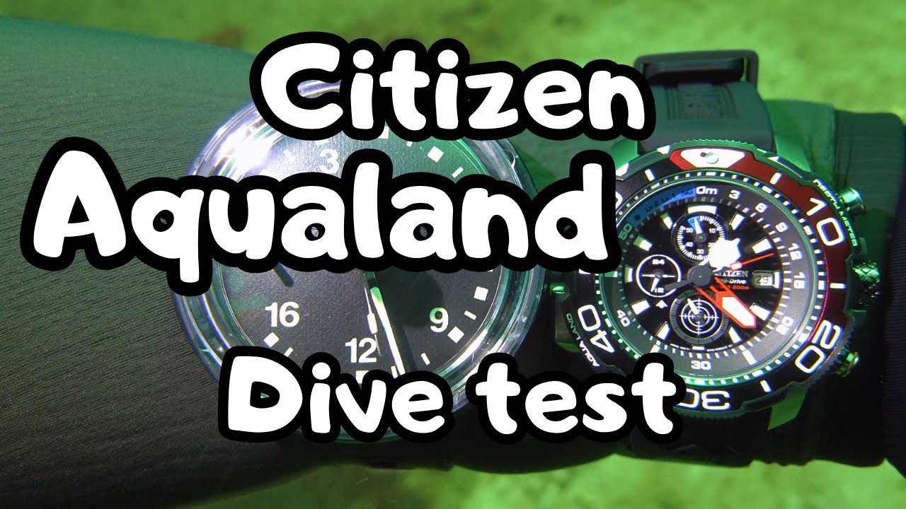Diving a CITIZEN PROMASTER with DEPTH GAUGE  │  Dive testing of watches