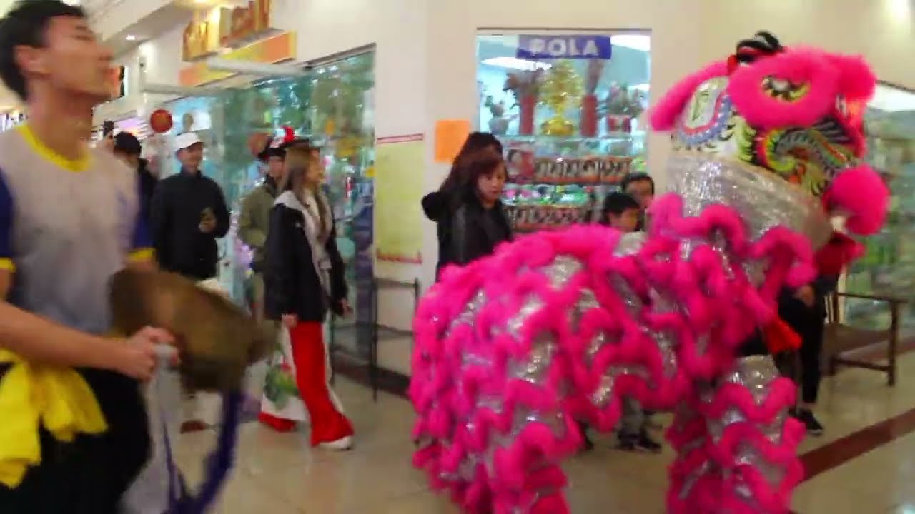 NORCAL UVSA LION DANCE @ LUNAR NEW YEAR:SAN JOSE 2025 GRAND CENTURY MALL OPENING CEREMONY