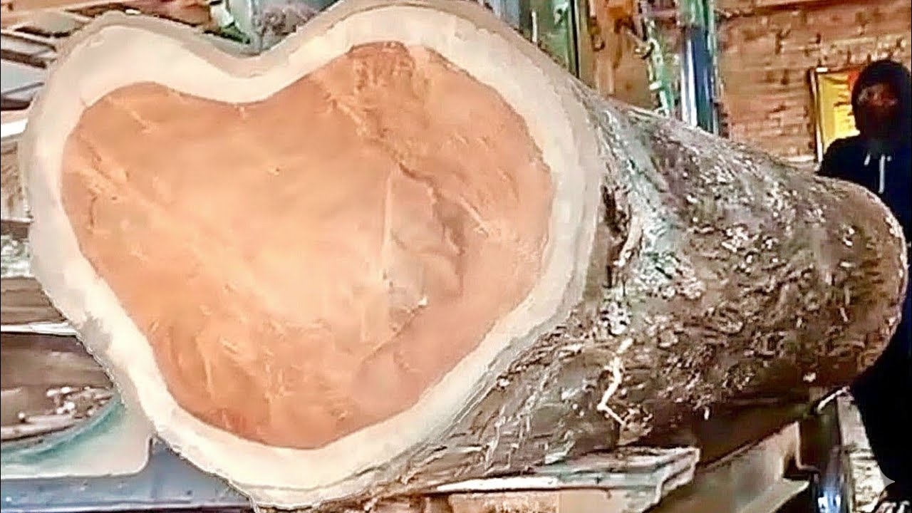 🌲Уникальные, редкие и очень эстетичные бревна тикового дерева🌲На лесопилке