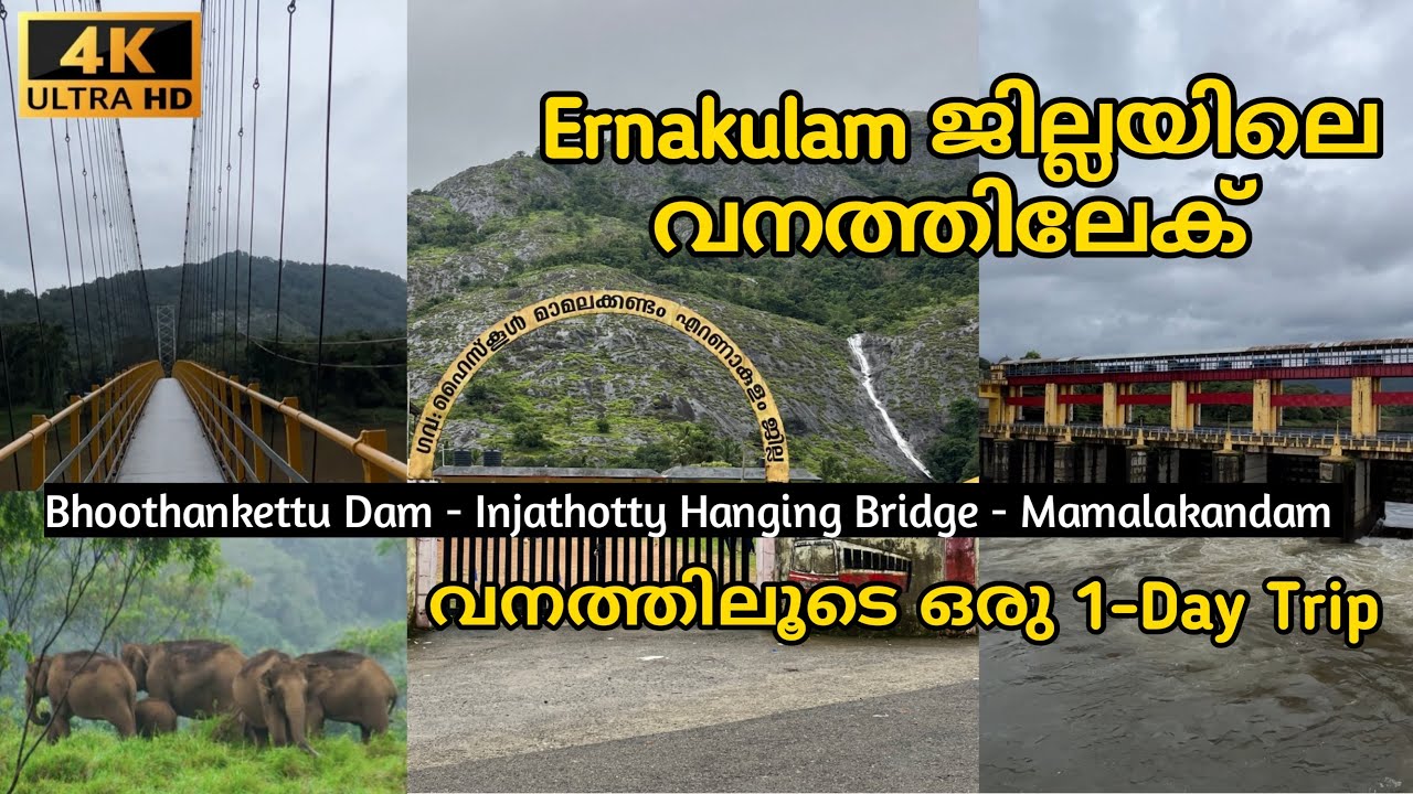 മാമലക്കണ്ടം വനയാത്ര 4K | Mamalakandam Forest Village Ernakulam | Ernakulam One day Trip @Jee_vanlife