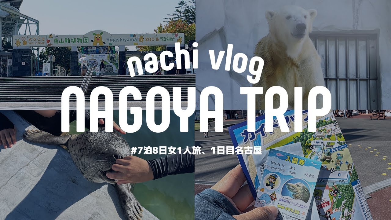 〈 ①女1人旅7泊8日の夏休み 〉名古屋 / 東山動物園で尻尾もっさりフブキ / 南知多ビーチランドでアザラシ抱っこしてきた〈 動物園、水族館巡り 〉