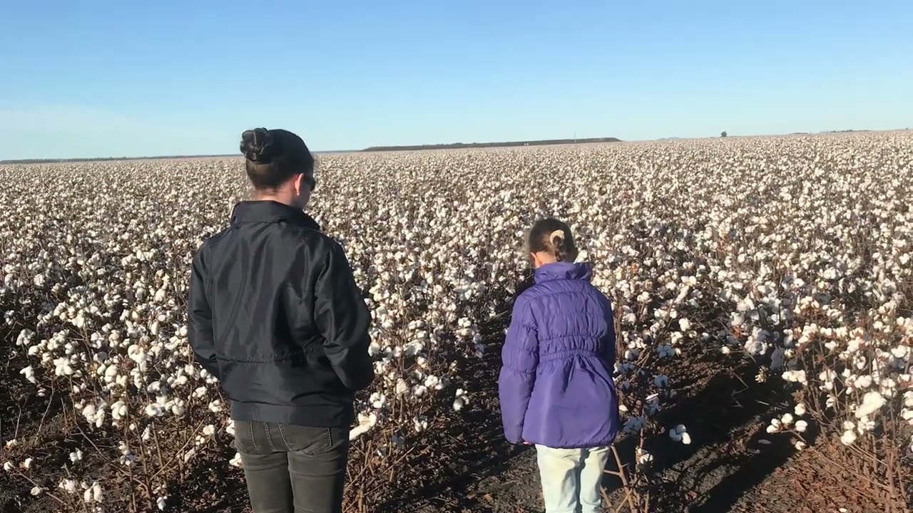 A different farm, a different tour.